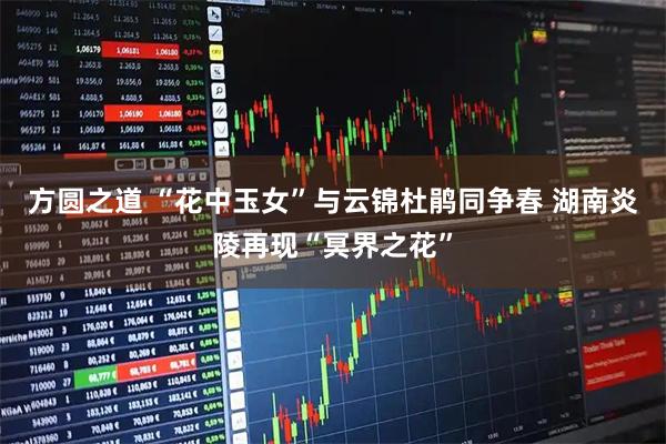 方圆之道 “花中玉女”与云锦杜鹃同争春 湖南炎陵再现“冥界之花”